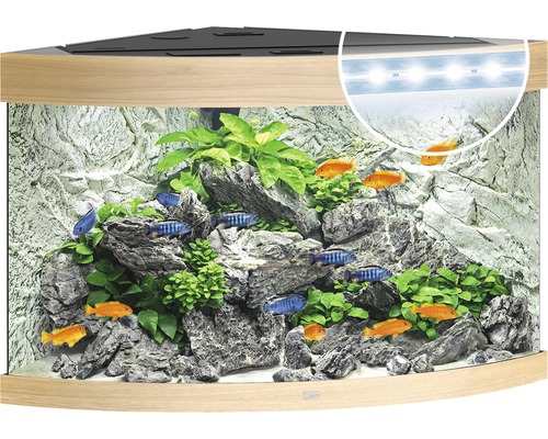 Aquarium offers Juwel Trigon 190 Eckaquarium - 10 Monate alt -