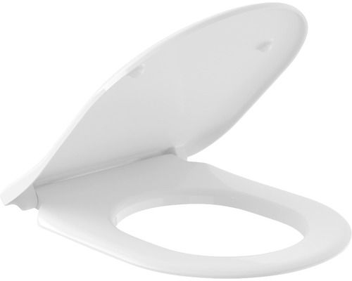 Toilettendeckel aus Sanitärkeramik, mit offenem Deckel