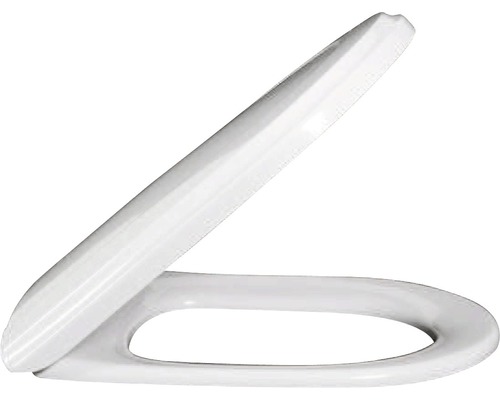 Toilettensitz zur Verwendung im Badezimmer