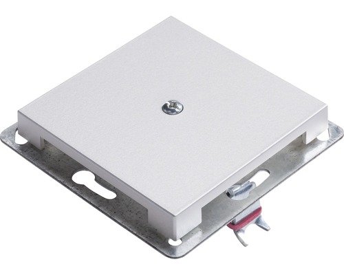 Quadratische Revisionsklappe mit Schraube