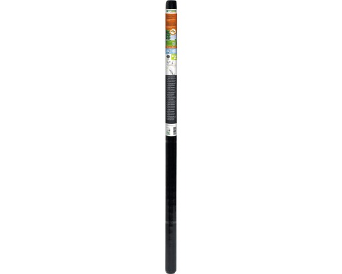 Fliegengitter Windhager Perfect View Fiberglas ohne Bohren 120x250 cm Unkrautvlies auf einer Rolle