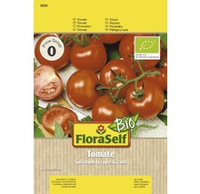FloraSelf Tomatensamen Solanum lycopersicum