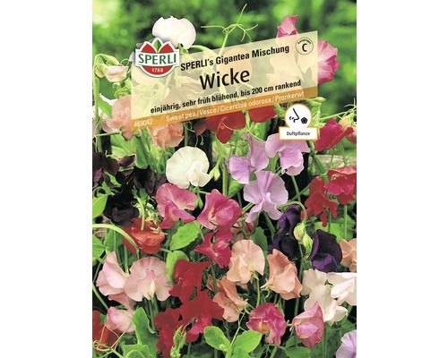 Wicke SPERLI´s Gigantea Mischung Blumensamen