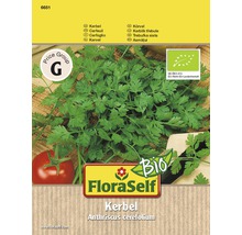 FloraSelf Kerbel-Samenpackung