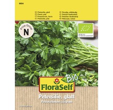 Bund glatte Petersilie