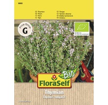 FloraSelf Thymian Pflanze im Topf