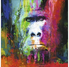 Leinwandbild Original Colourful Gorilla 100x100 cm