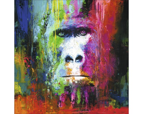 Leinwandbild Original Colourful Gorilla 100x100 cm