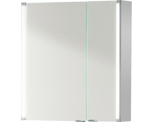 Spiegelschrank basano 61 x 16,5 x 67 cm grau 2-türig LED IP 20