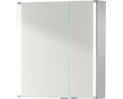 Spiegelschrank basano 61 x 16,5 x 67 cm grau 2-türig LED IP 20 Spiegelschrank mit Beleuchtung