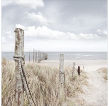 Foto einer Küstenlandschaft mit Strand, Dünen und hölzernen Pfosten