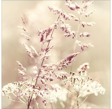 Nahaufnahme von Wildblumen und Gräsern