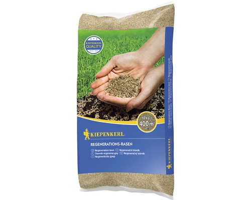 Rasensamen Kiepenkerl Regenerations-Rasen 10 kg 400 m² Kiepenkerl Regenerationsrasen, 10 Kilogramm Packung