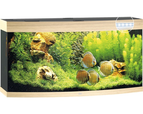 Aquarium JUWEL Vision 260 mit LED-Beleuchtung, Heizer, Filter ohne Unterschrank helles Holz