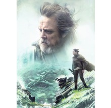 Illustration mit Luke Skywalker und Rey vor einer Küstenlandschaft.