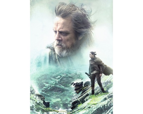 Fototapete Papier 4-438 Disney Edition 4 Star Wars Last Jedi 4-tlg. 184 x 254 cm Illustration mit Luke Skywalker und Rey vor einer Küstenlandschaft.