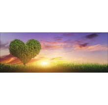 Glasbild Green Heart & Yellow Sun 50x125 cm GLA1300