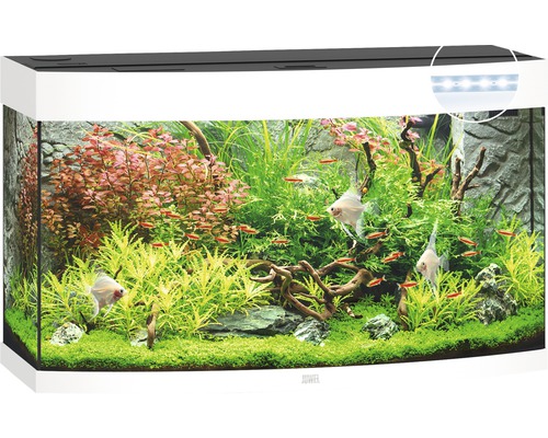 Aquarium JUWEL Vision 180 mit LED-Beleuchtung, Heizer, Filter ohne Unterschrank weiß