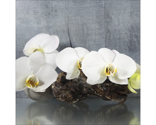 Glasbild White Orchid II 20x20 cm GLA1337