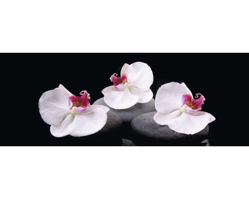 Glasbild White Orchid IV 30x80 cm GLA1339