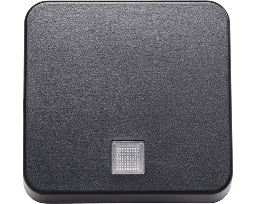 ROTH LANGE 57339 Wippe Kontroll mit Kalotte Abdeckung für Schalter Basic schwarzgrau Quadratische Lichtschalterabdeckung
