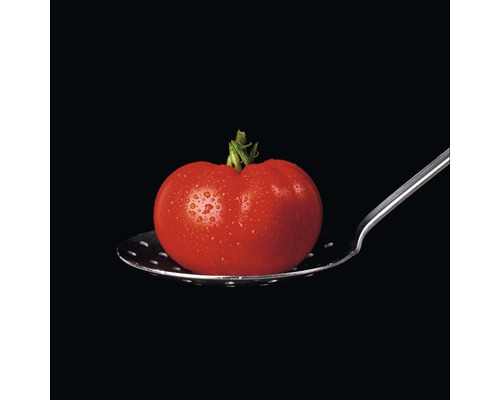 Glasbild Tomato On Black 50x50 cm GLA1419