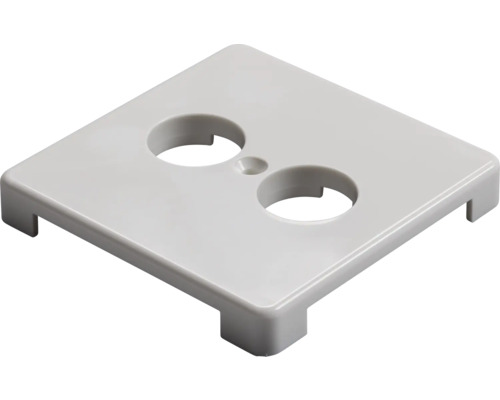 Abdeckplatte mit zwei Aussparungen