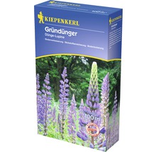 Kiepenkerl Gründünger Dünge-Lupine Packung