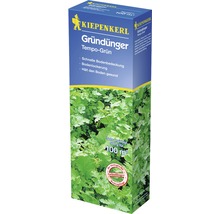 Kiepenkerl Gründünger Tempo-Grün Packung