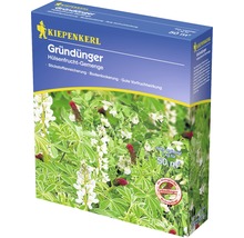 Kiepenkerl Gründünger Packung mit Pflanzenabbildung