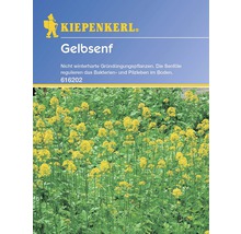 Kiepenkerl Gelbsenf zur Bodenverbesserung