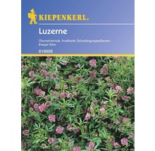 Luzerne Samenpackung von Kiepenkerl