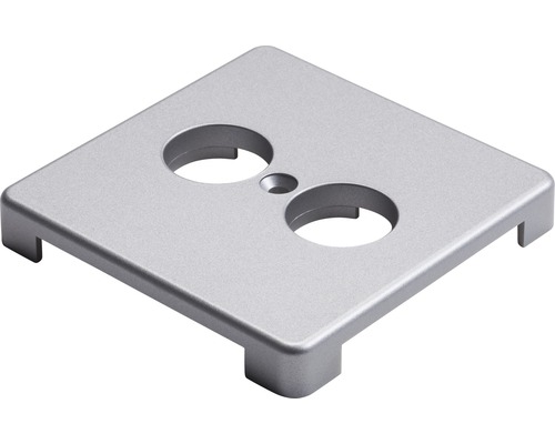 Abdeckplatte aus Metall mit zwei runden Aussparungen