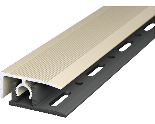 Abschlussprofil PROFI-TEC MASTER Alu sahara 28x2700mm Kunststoff Abschlussprofil für Fassadenverkleidung