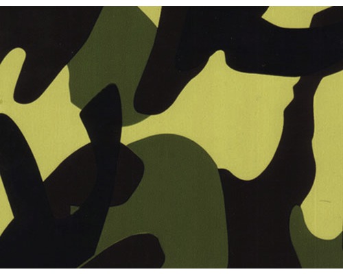 Wassertransferdruck Folie Tarn CA-NR-010 100 x 50 cm Muster im Camouflage Design