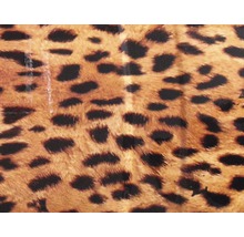 Wassertransferdruck Folie Gepard braun CD-87 100 x 50 cm