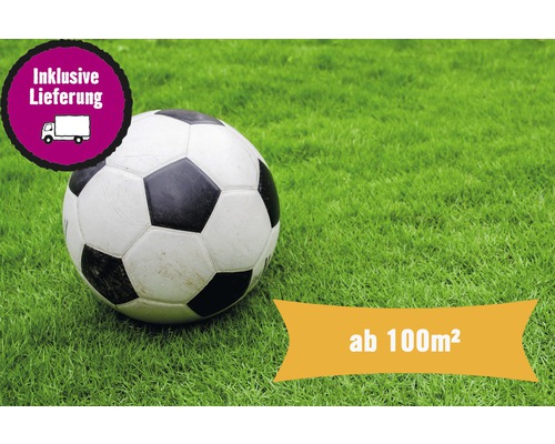 Rollrasen Profi-Sportrasen Bestellmenge ab 100 m² tagesfrisch geschält, extrem belastbar und trittfest, höherer Pflegeaufwand, ideal für Sportanlagen, für sonnige Lage Rollrasen ab 100 Quadratmeter inklusive Lieferung