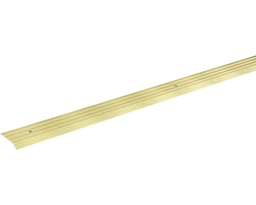 SKANDOR Anpassungsprofil champagner eloxiert gelocht 5x29x2700 mm Metallische Übergangsschiene für Böden