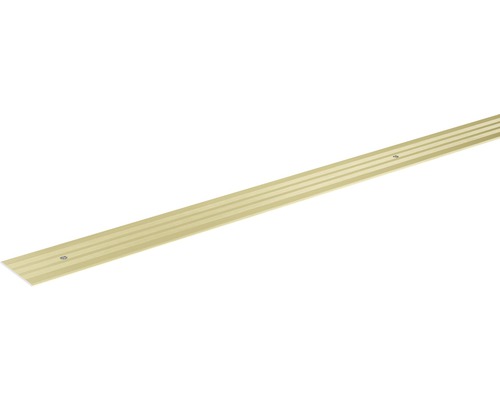 SKANDOR Übergangsprofil champagner eloxiert gelocht 2x29,5x2700 mm Metallische Übergangsleiste mit Schrauben