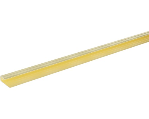 SKANDOR Einfassprofil champagner eloxiert für 6-7 mm Böden 9x29x2700 mm SKANDOR Einfassprofil champagner eloxiert für 6-7 mm Böden 9x29x2700 mm