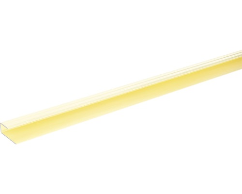 SKANDOR Einfassprofil champagner eloxiert für 8-9 mm Böden 11x29x2700 mm SKANDOR Einfassprofil champagner eloxiert für 8-9 mm Böden 11x29x2700 mm