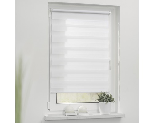 Fenster mit weißem Doppelrollo zur Lichtregulierung