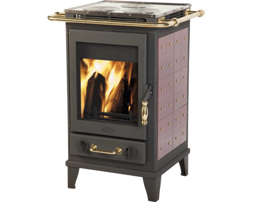 Holzofen mit Kochfeld und Holzfeuer