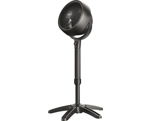 Schwarzer Standventilator mit verstellbarer Höhe Schwarzer Standventilator mit verstellbarer Höhe