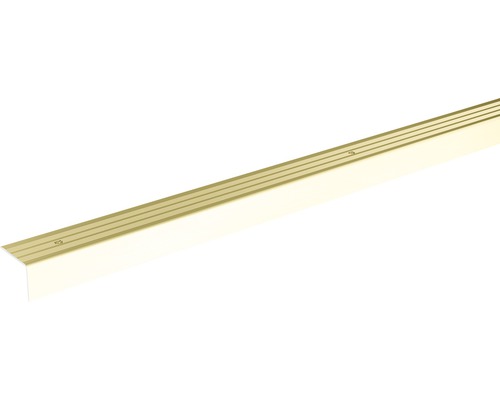 SKANDOR Treppenkantenprofil champagner eloxiert gelocht 20x24,5x900 mm Treppenkantenprofil aus Metall mit Schrauben