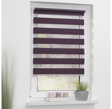 Fenster mit Doppelrollo für Sicht- und Sonnenschutz