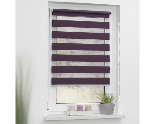 Fenster mit Doppelrollo für Sicht- und Sonnenschutz