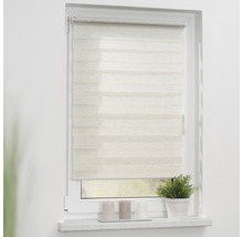 Fenster mit einem Doppelrollo zur Lichtregulierung.