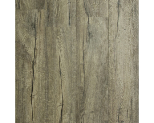 Vinylboden Rabida Landhausdiele Klickverbindung 1220 x 180 x 4,2 mm Vinylboden Rabida Landhausdiele Klickverbindung 1220 x 180 x 4,2 mm