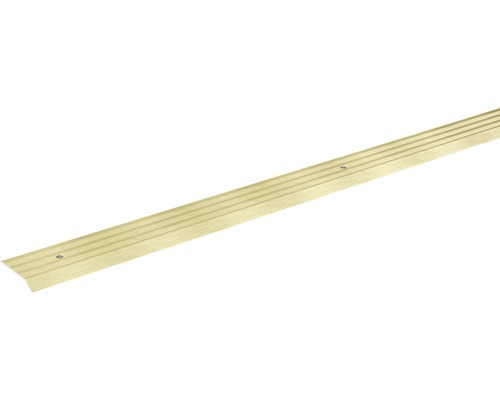 SKANDOR Anpassungsprofil champagner eloxiert gelocht 5x29x900 mm Metall Abschlussprofil mit Schrauben